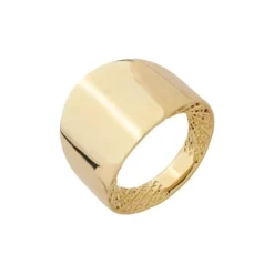 Anel Bold Mabel Folheado a Ouro 18k