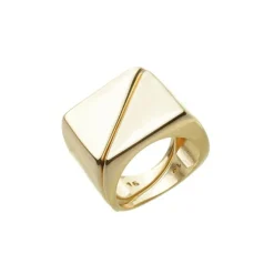 Anel Duplo Natasha Folheado a Ouro 18k