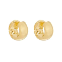 Brinco de Argola Larga Lily Folheado a Ouro 18k