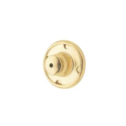 Tarraxa Americana Piuka Folheada a Ouro 18k